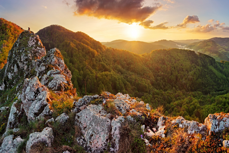 2015-03-08 - MDŽ