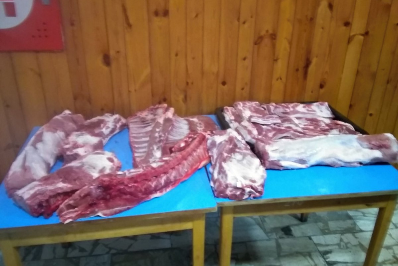 2016-01-16 - Obecná zabíjačka