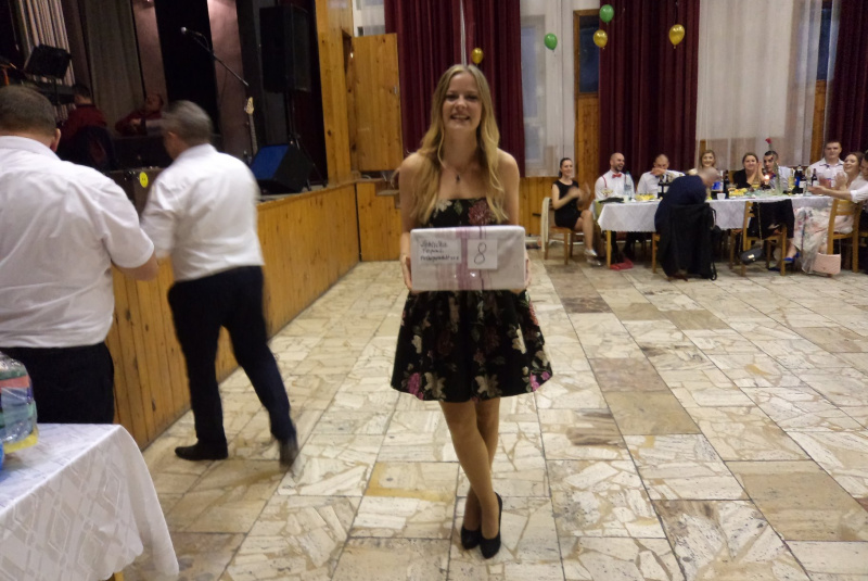 2017-02-04 - Vyšnoorlícky ples