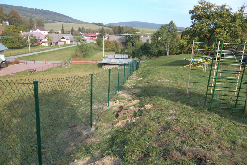2020-01-11 - Obecná zabíjačka